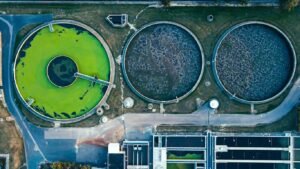 Sustainable Fashion Buying Agency